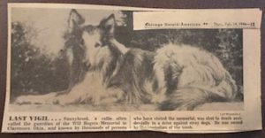 Photograph of a collie dog accompanied by a caption about the death of Sunnybrook.