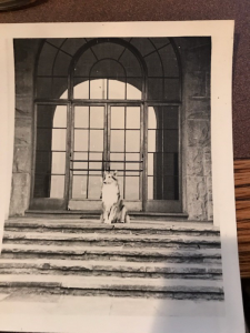 Photograph of Sunnybrook the collie sitting on the steps.  of the Will Rogers Museum. 