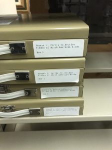 Four metal boxes stacked on top of one another, each labeled "Robert J. Farris Collection Slides of North American Birds"